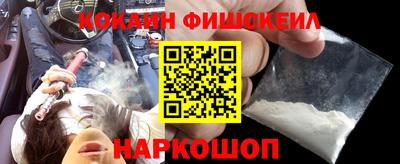 крисы Нальчик