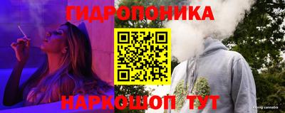 крисы Нальчик