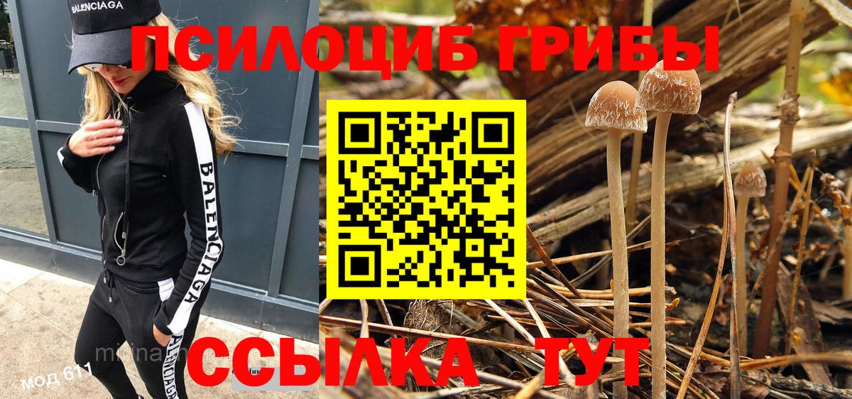 Псилоцибиновые грибы мицелий  Вход с VPN  Великий Новгород  Псилоцибиновые грибы Cubensis 