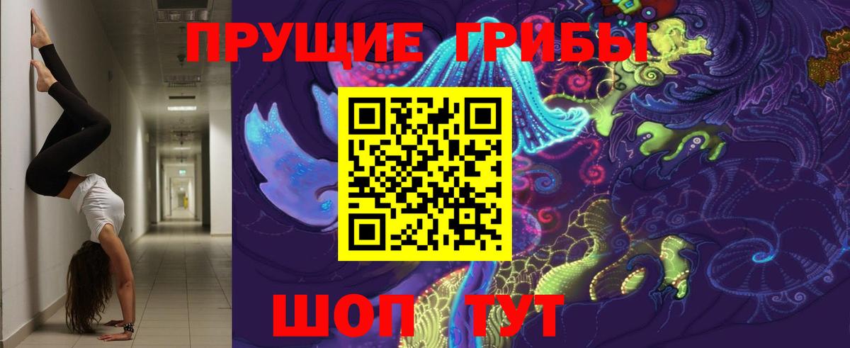 Галлюциногенные грибы Cubensis Великий Новгород