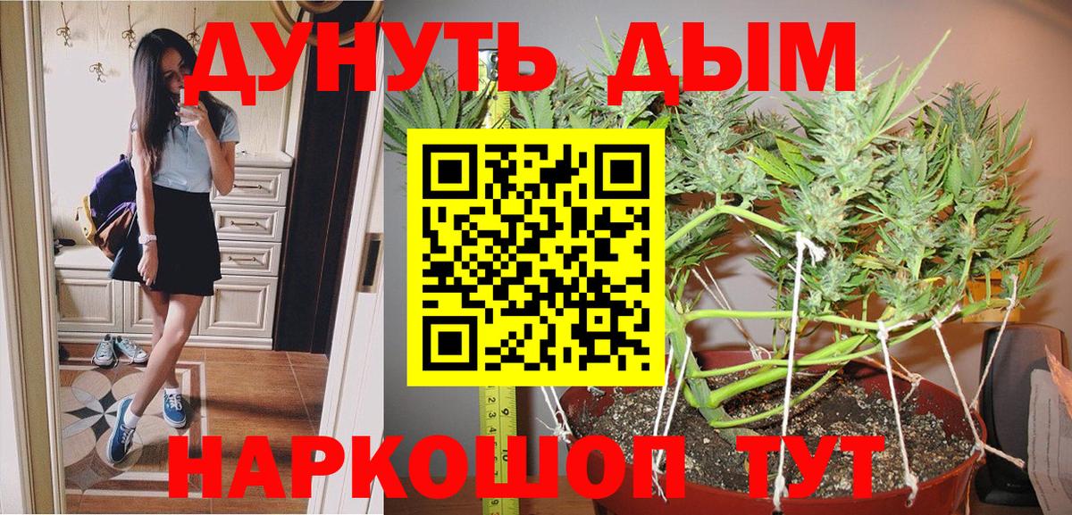 Каннабис план Великий Новгород